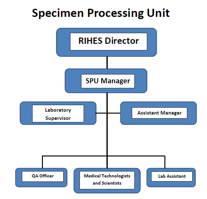 spu-Organization structure