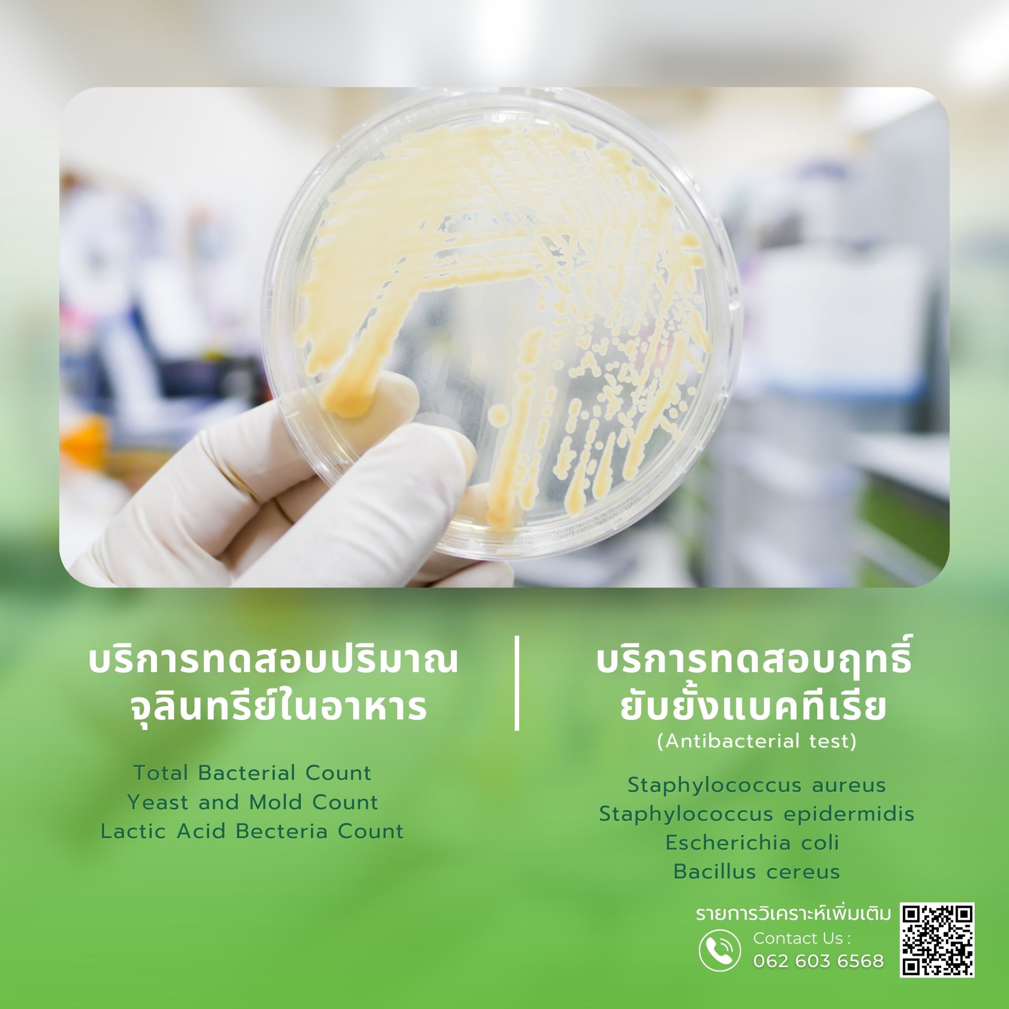 รูปที่ 23