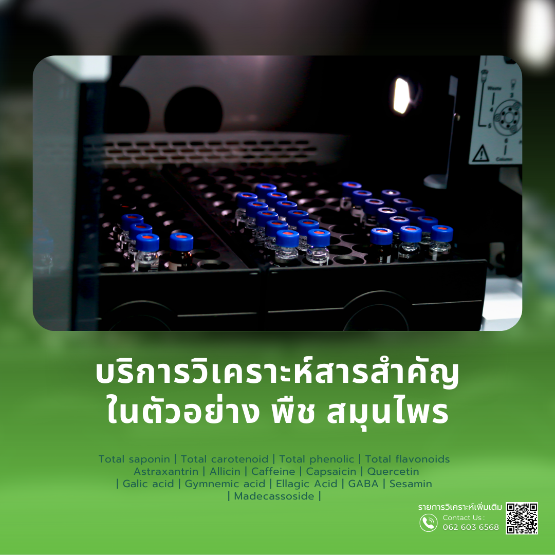 รูปที่ 33