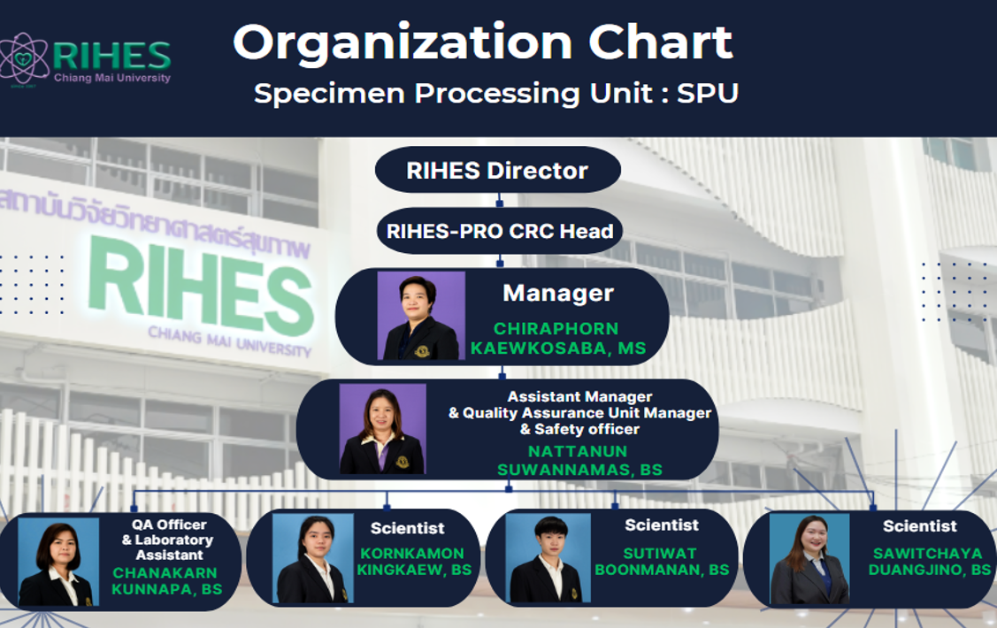 Organization Chart